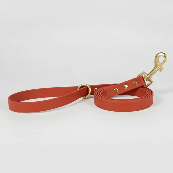 Laisse Imperméable De 1.5 M Pour Chien