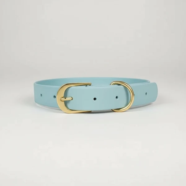Collier Imperméable Pour Chien Design Et Résistant