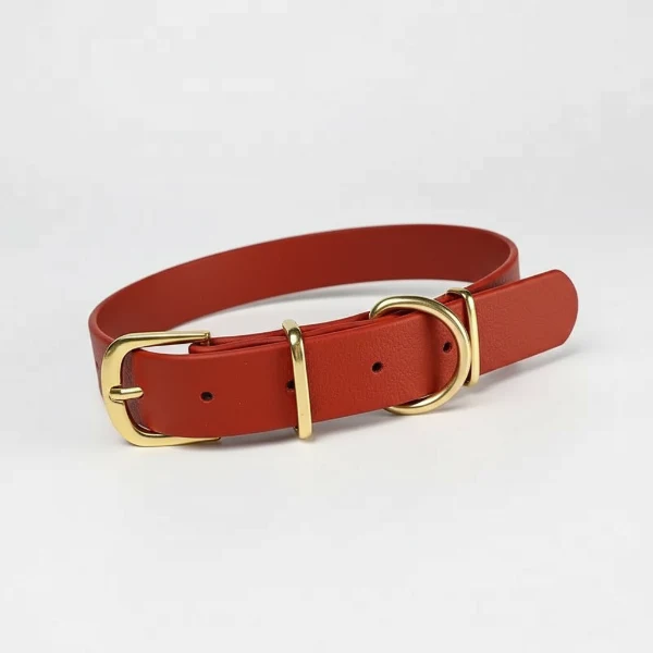 Collier Imperméable Pour Chien Design Et Résistant