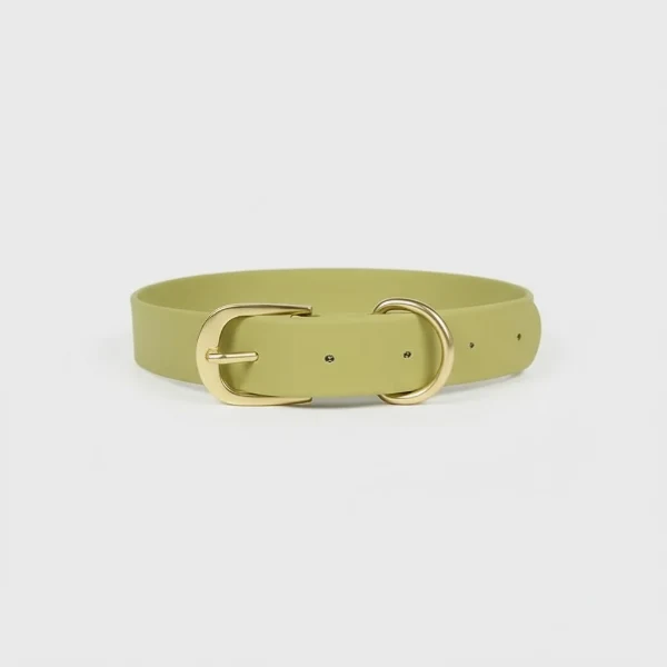 Collier Imperméable Pour Chien Design Et Résistant