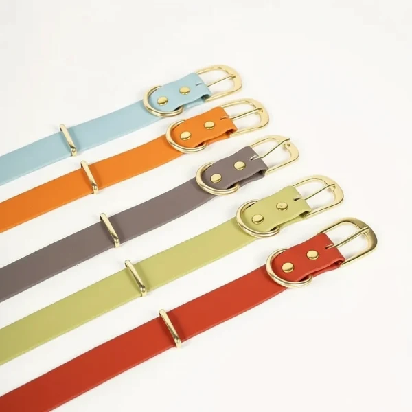 Collier Imperméable Pour Chien Design Et Résistant