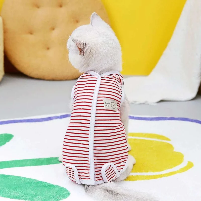 Tee-Shirt Post Opératoire Pour Chat
