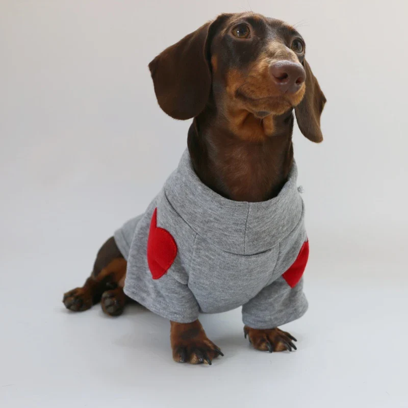 Sweat Love Pour Teckel Confortable En Coton Doux
