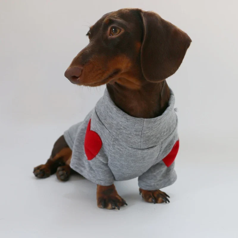Sweat Love Pour Teckel Confortable En Coton Doux