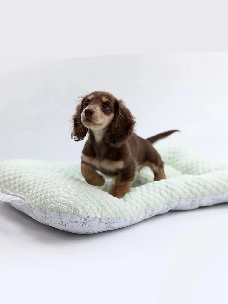 Tapis Rafraîchissant Pour Petit Chien Et Chat