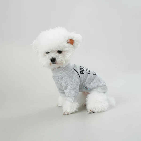 Sweat Gris Pour Petit Chien Cœur Rouge