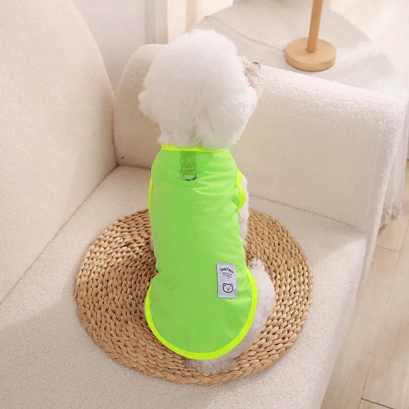 Tee-shirt chien léger - Confort design