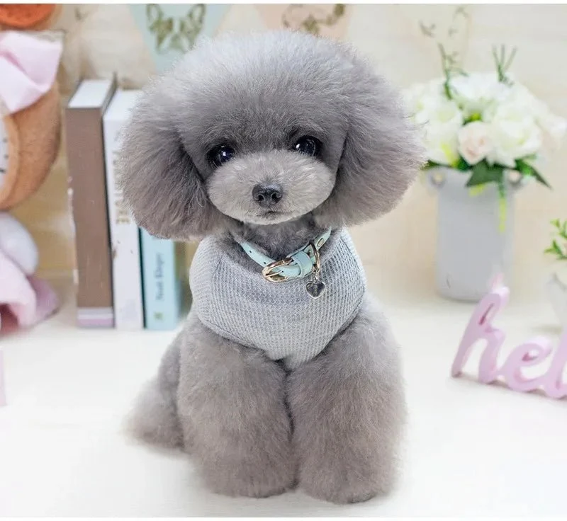T-Shirt Coton Chien Style Confortable