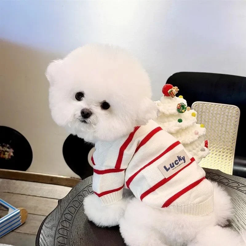 Pull pour chien rayé - Confortable, stylé et chaud