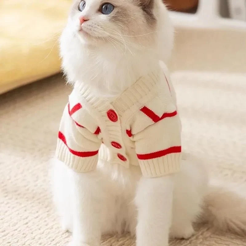 Pull pour chien rayé - Confortable, stylé et chaud