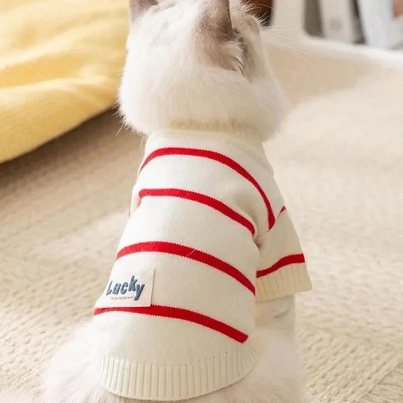Pull pour chien rayé - Confortable, stylé et chaud