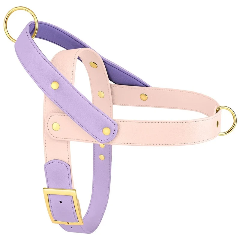 Harnais Élégant 3 Couleurs Pour Chien