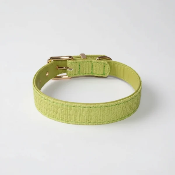 Collier Couture Chien Résistant Et Design