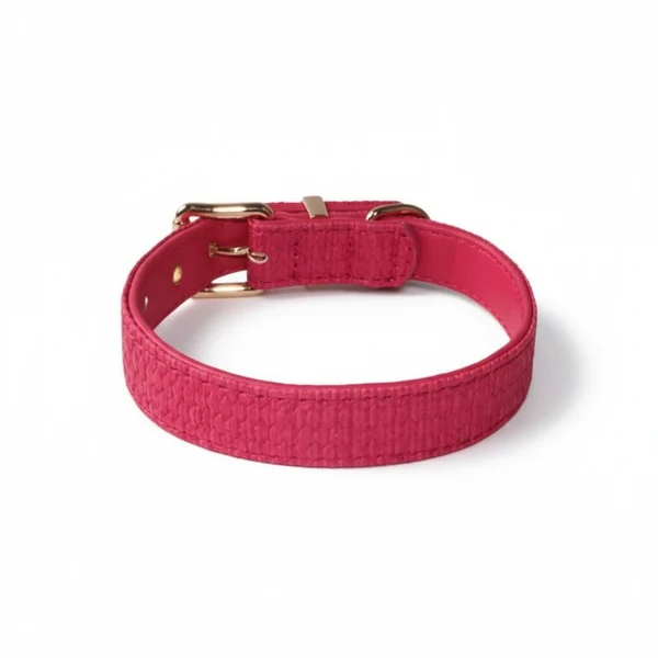 Collier Couture Chien Résistant Et Design