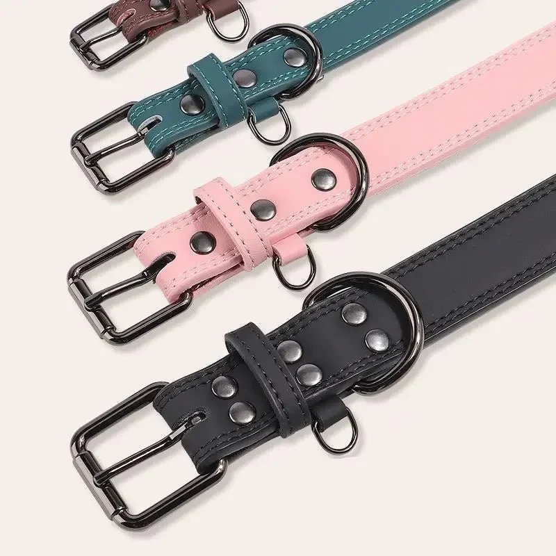 Collier Cuir Chien Élégant Et Résistant