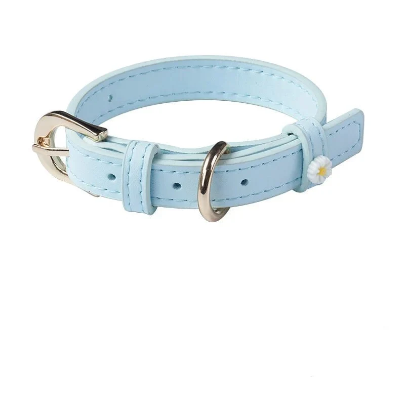 Collier Elégant Et Confortable Pour Chat