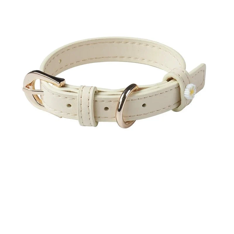 Collier Elégant Et Confortable Pour Chat
