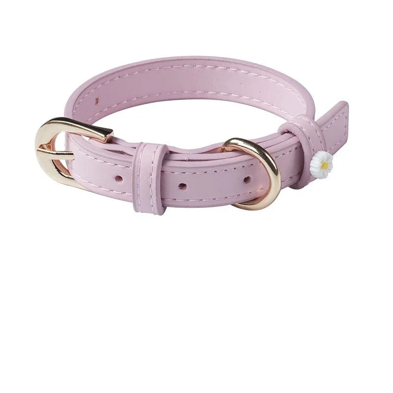 Collier Elégant Et Confortable Pour Chat