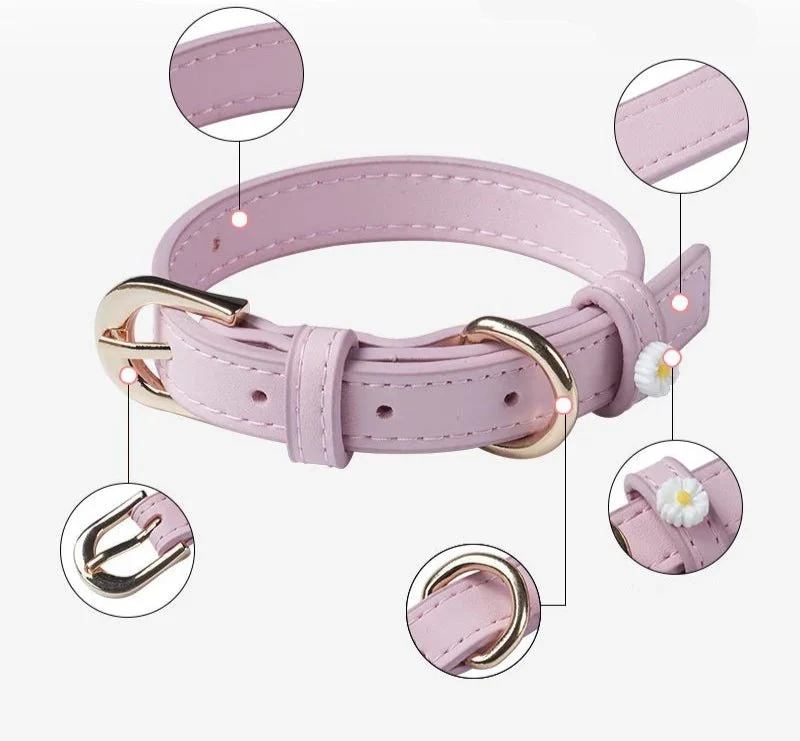 Collier Elégant Et Confortable Pour Chat