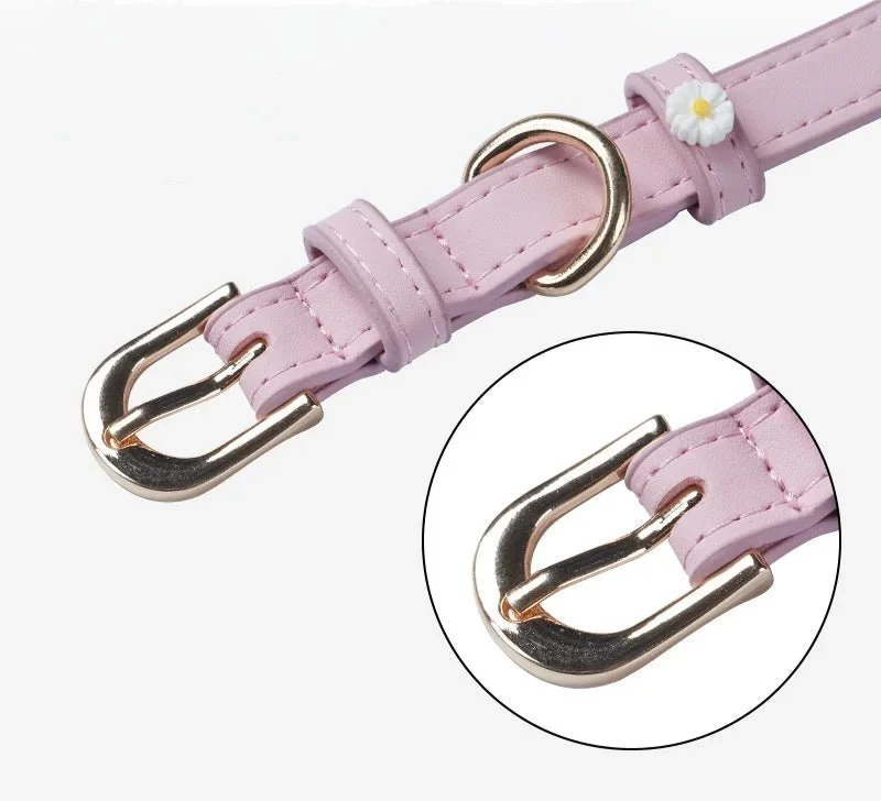 Collier Elégant Et Confortable Pour Chat
