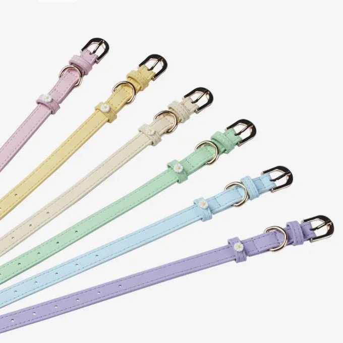 Collier Elégant Et Confortable Pour Chat