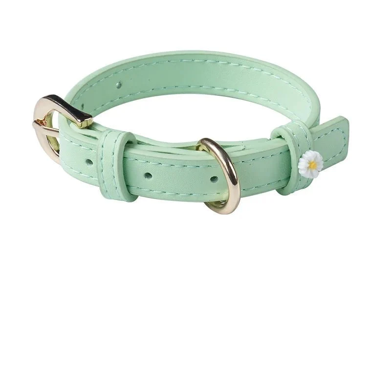 Collier Elégant Et Confortable Pour Chat