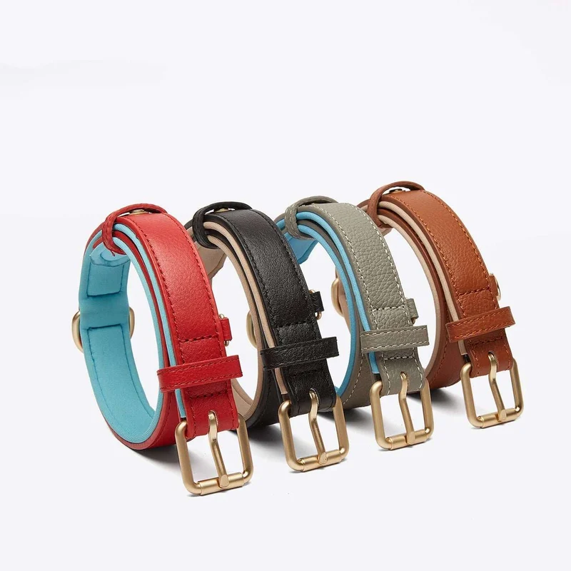 Collier En Cuir Synthétique Pour Chien Résistant Et Design