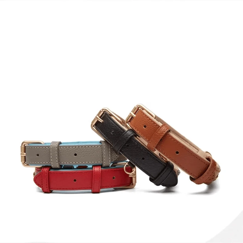 Collier En Cuir Synthétique Pour Chien Résistant Et Design
