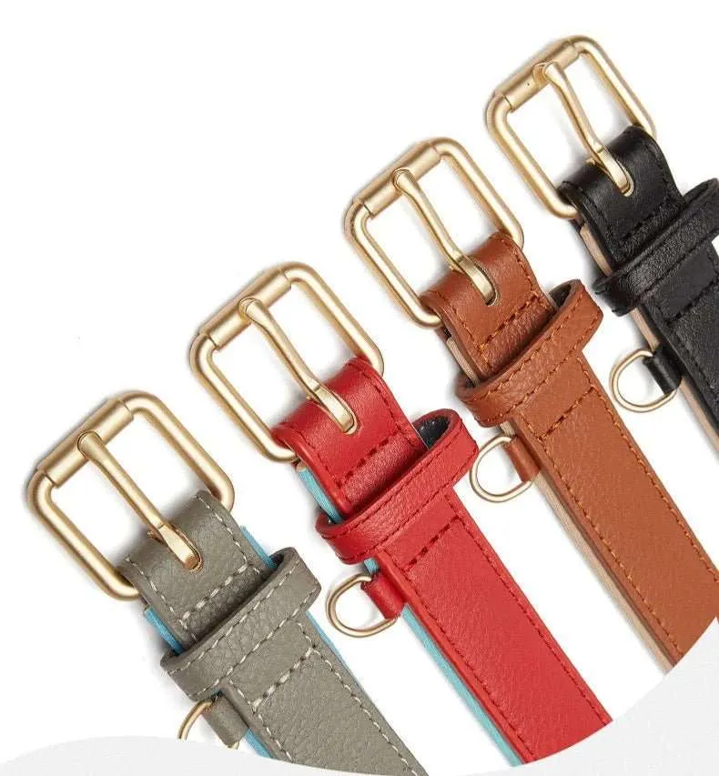 Collier En Cuir Synthétique Pour Chien Résistant Et Design