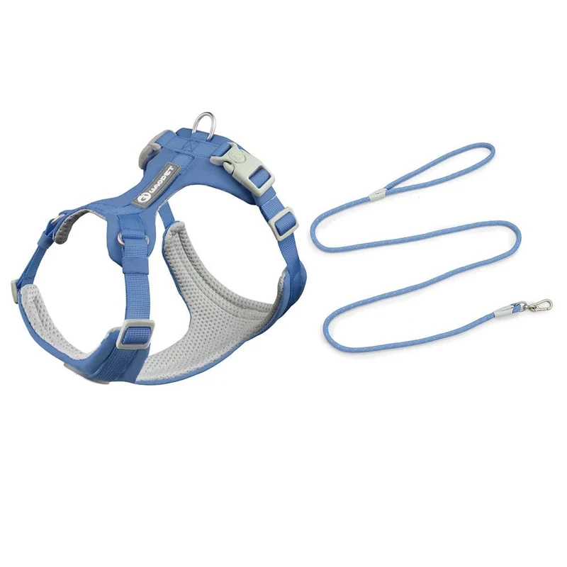 Ensemble Harnais Et Laisse Pour Chien
