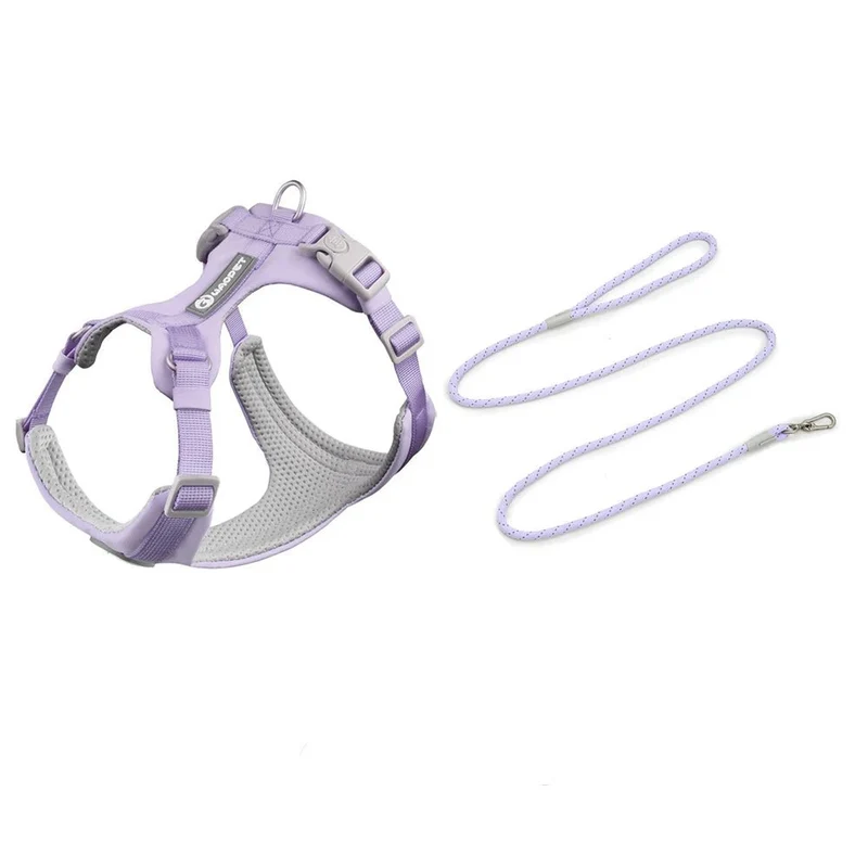 Ensemble Harnais Et Laisse Pour Chien