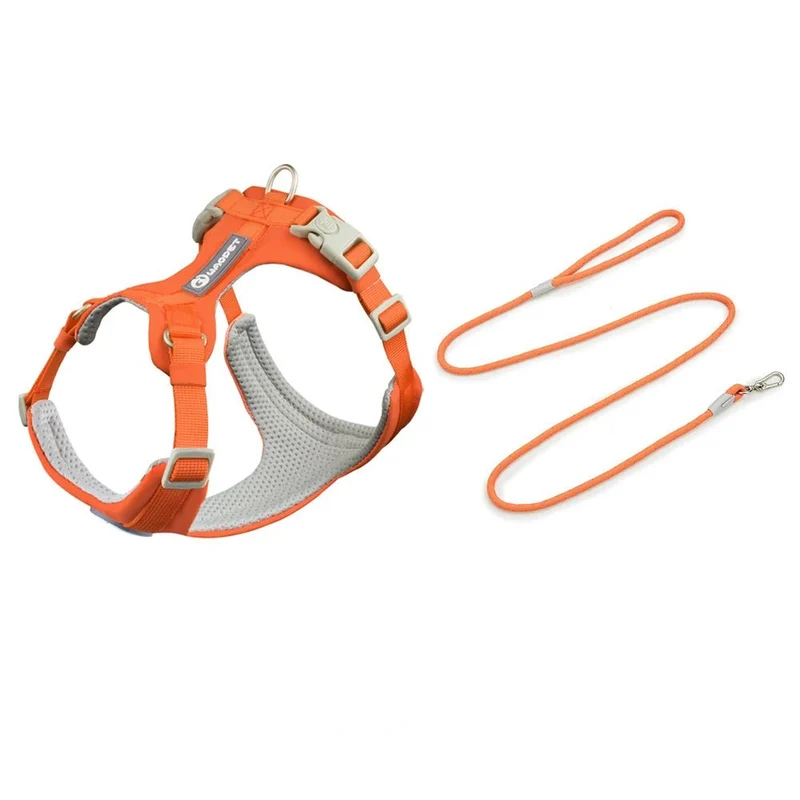 Ensemble Harnais Et Laisse Pour Chien