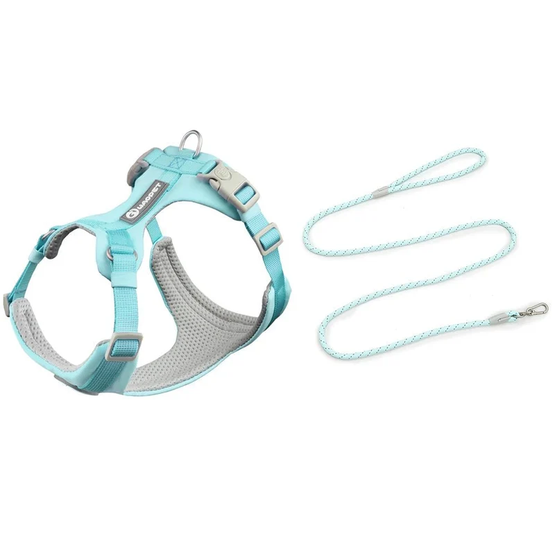 Ensemble Harnais Et Laisse Pour Chien