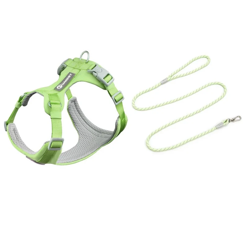 Ensemble Harnais Et Laisse Pour Chien