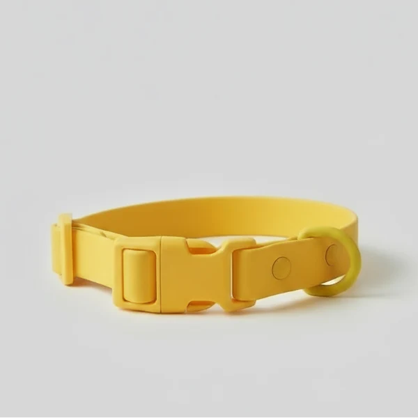 Collier en PVC imperméable pour chien, facile à nettoyer