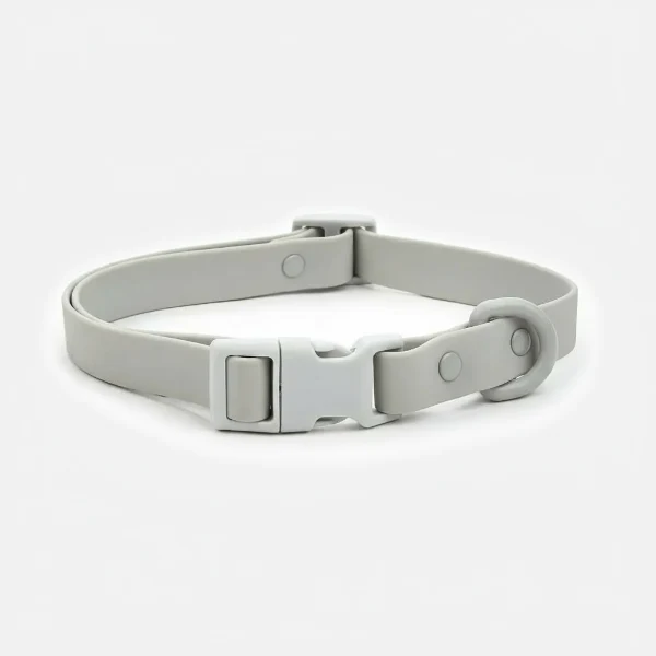 Collier en PVC imperméable pour chien, facile à nettoyer