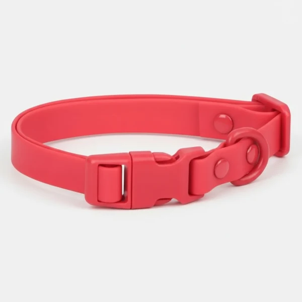Collier en PVC imperméable pour chien, facile à nettoyer