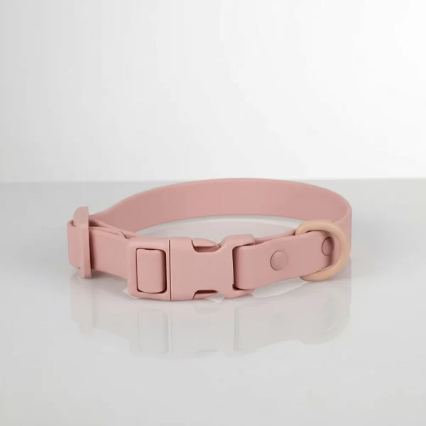 Collier en PVC imperméable pour chien, facile à nettoyer