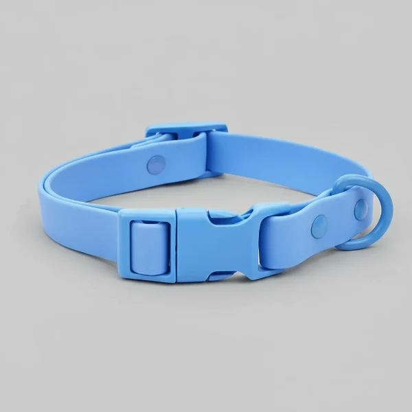 Collier en PVC imperméable pour chien, facile à nettoyer