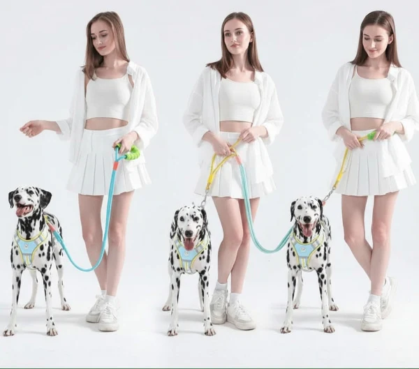 Laisse main libre pour chien avec poignée ergonomique confortable