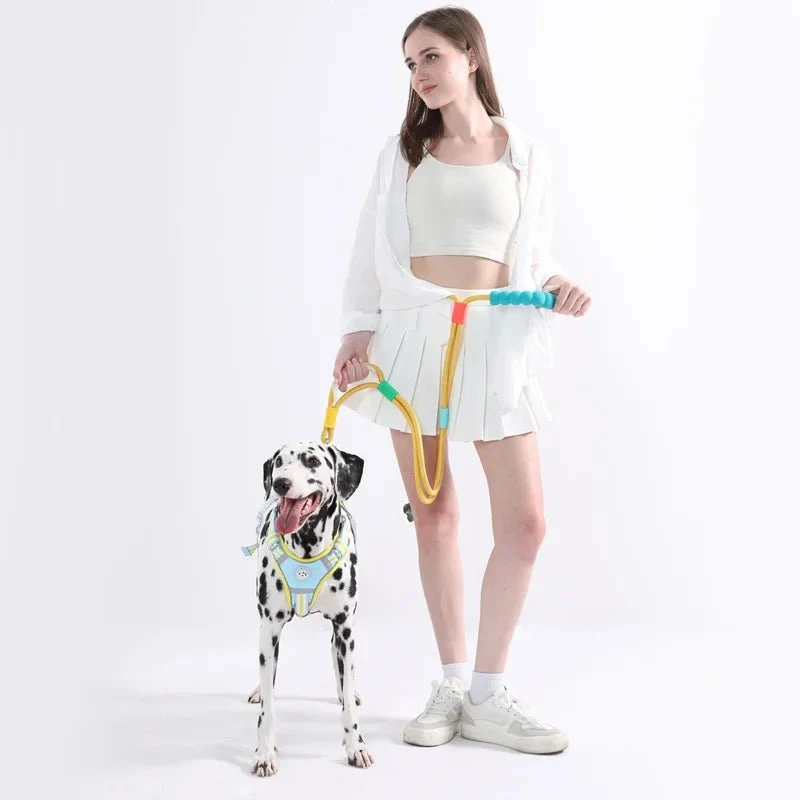 Laisse main libre pour chien avec poignée ergonomique confortable