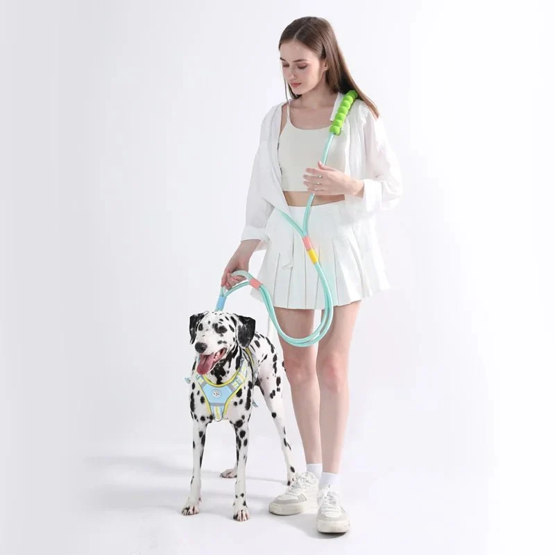 Laisse main libre pour chien avec poignée ergonomique confortable