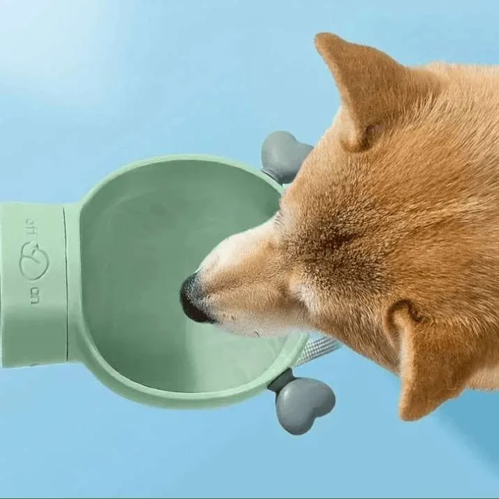 Gourde Avec Compartiment A Croquette Pour Chien Et Chat