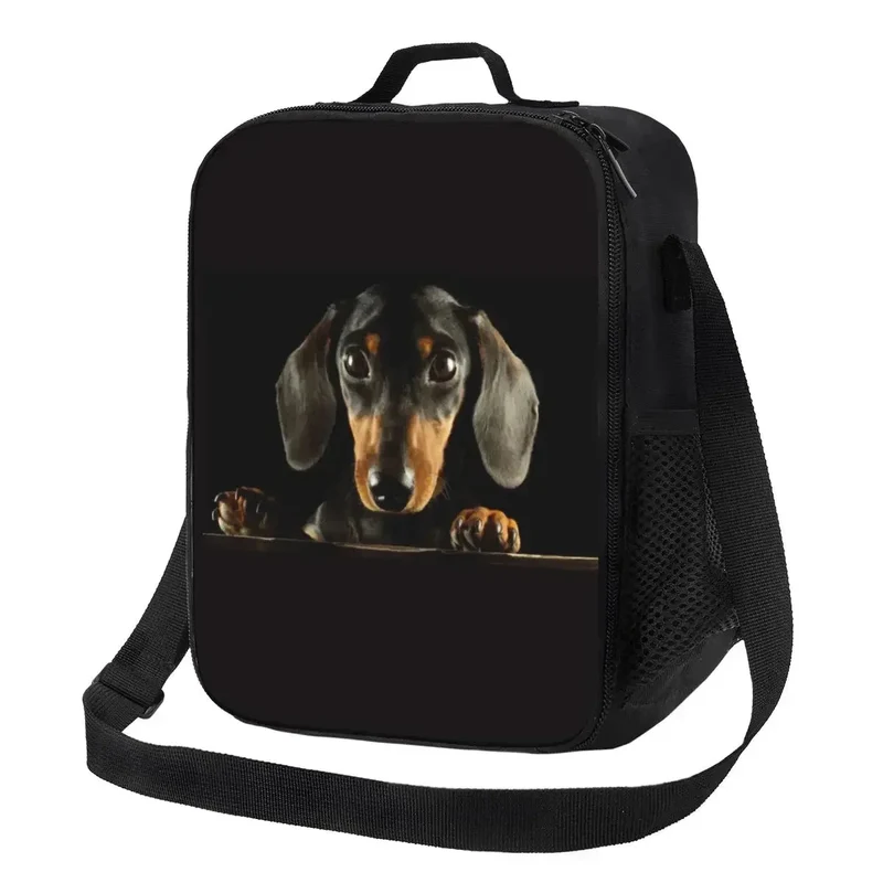 Sac Isotherme Design Chien Pratique