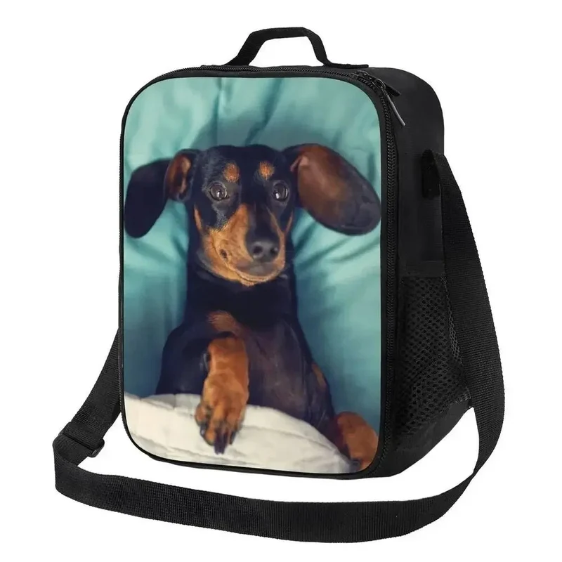 Sac Isotherme Design Chien Pratique