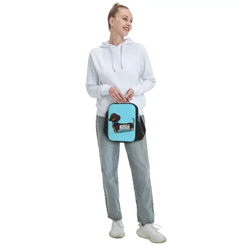 Sac Isotherme Design Chien Pratique