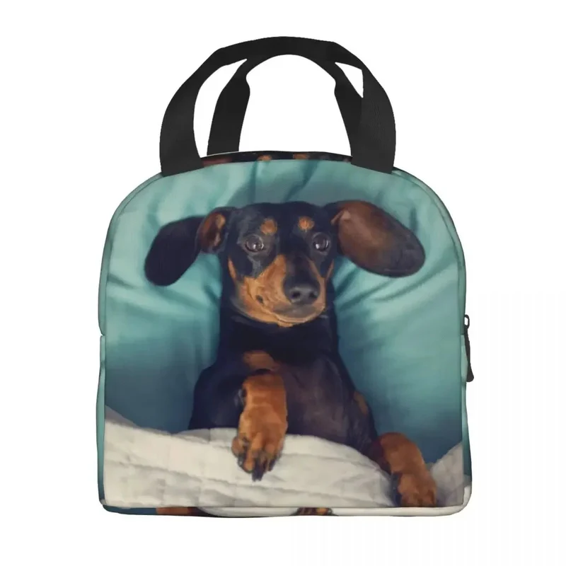 Sac Isotherme Teckel Oscar et Plume - Design Unique