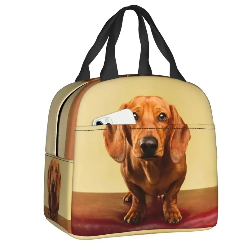 Sac Isotherme Teckel Oscar et Plume - Design Unique