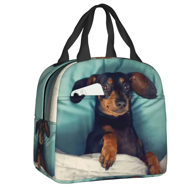 Sac Isotherme Teckel Oscar et Plume - Design Unique