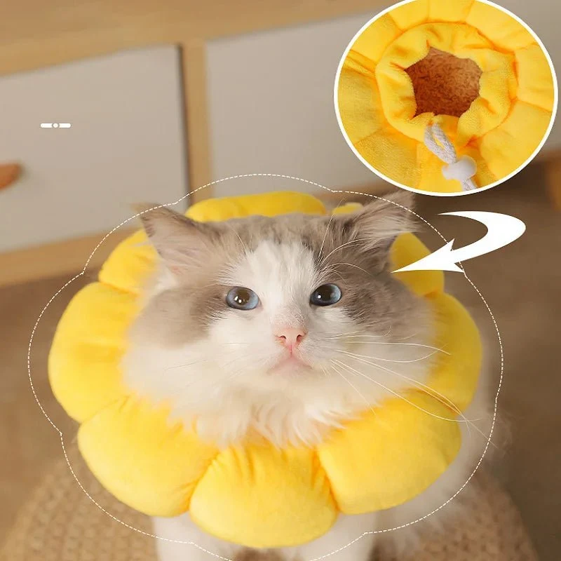Collerette de protection fleur pour chat - Les Bonnes Affaires
